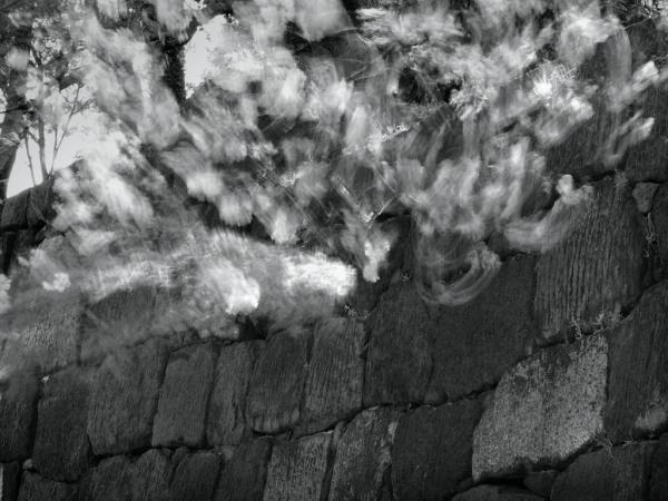 h220403170a.jpg
