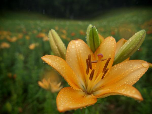 h220614187a.jpg