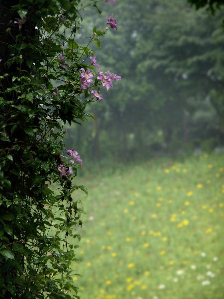 h220614192a.jpg