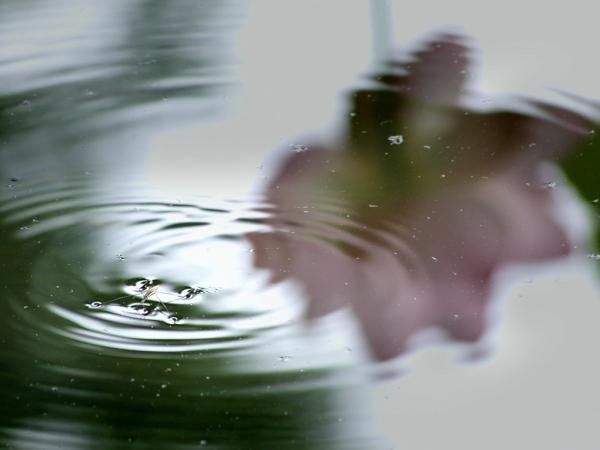 h220711140a.jpg