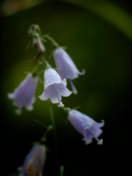 h220828176a.jpg