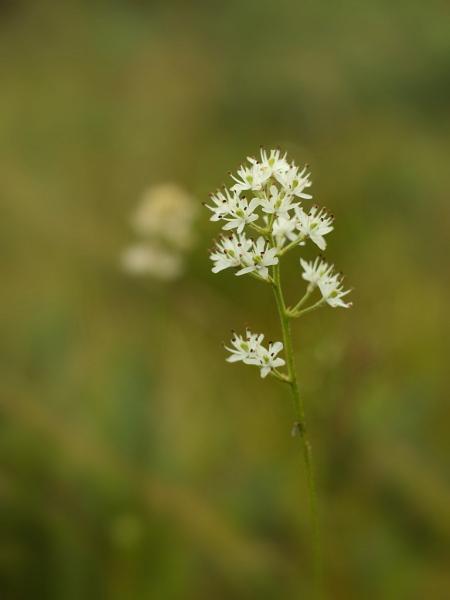 h220828240a.jpg
