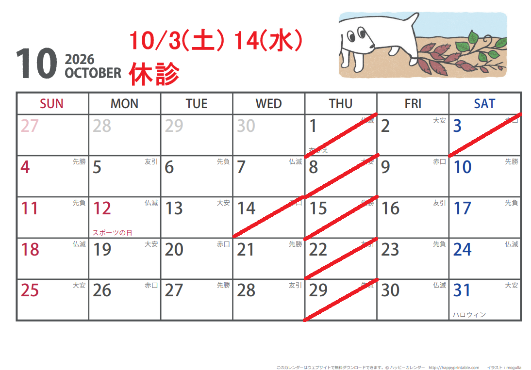イメージ２
